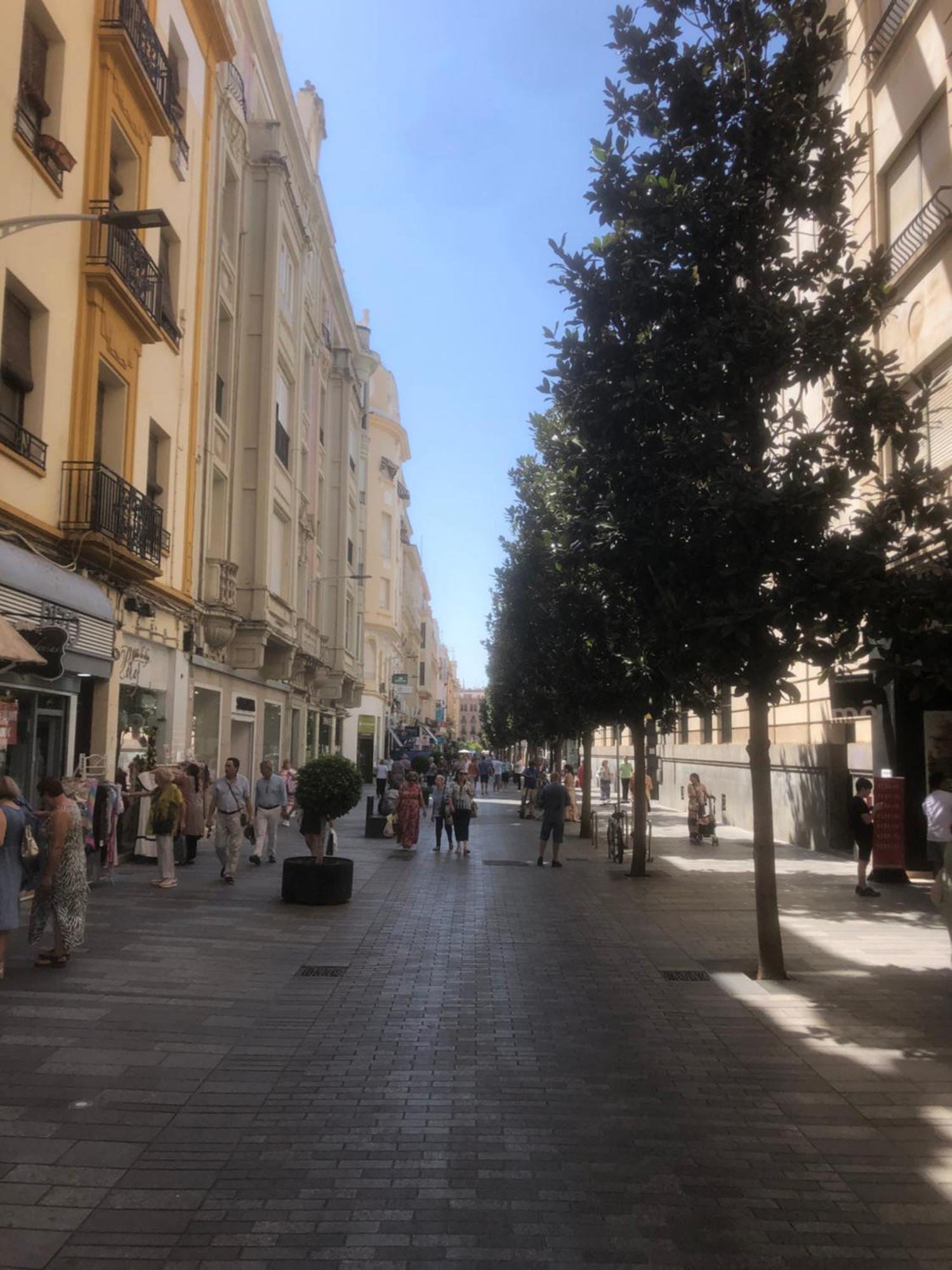 Apartamento En El Centro Totalmente Climatizado, Parking Gratuito Cordoba Dış mekan fotoğraf